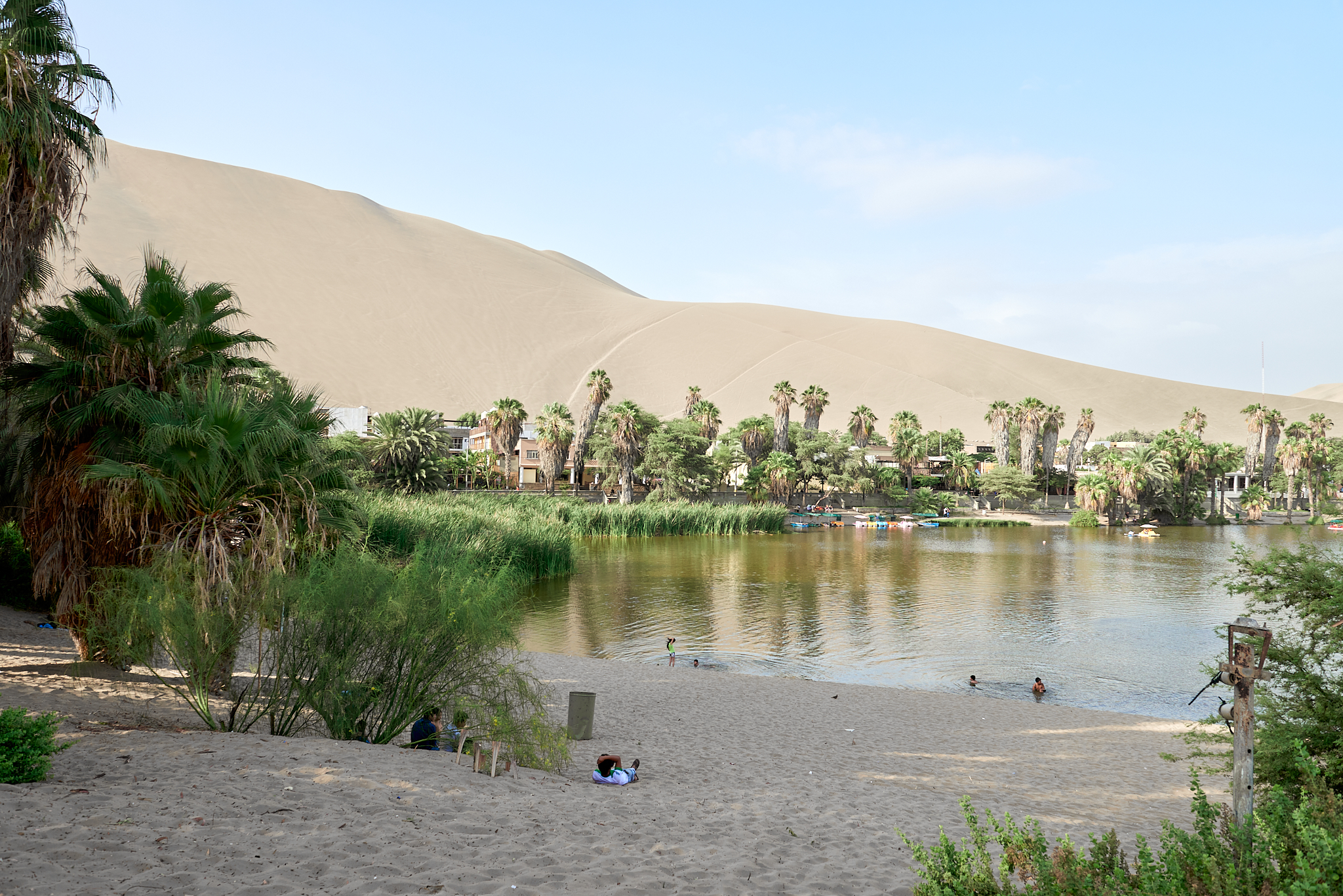 20200303 076 [페루] 와카치나